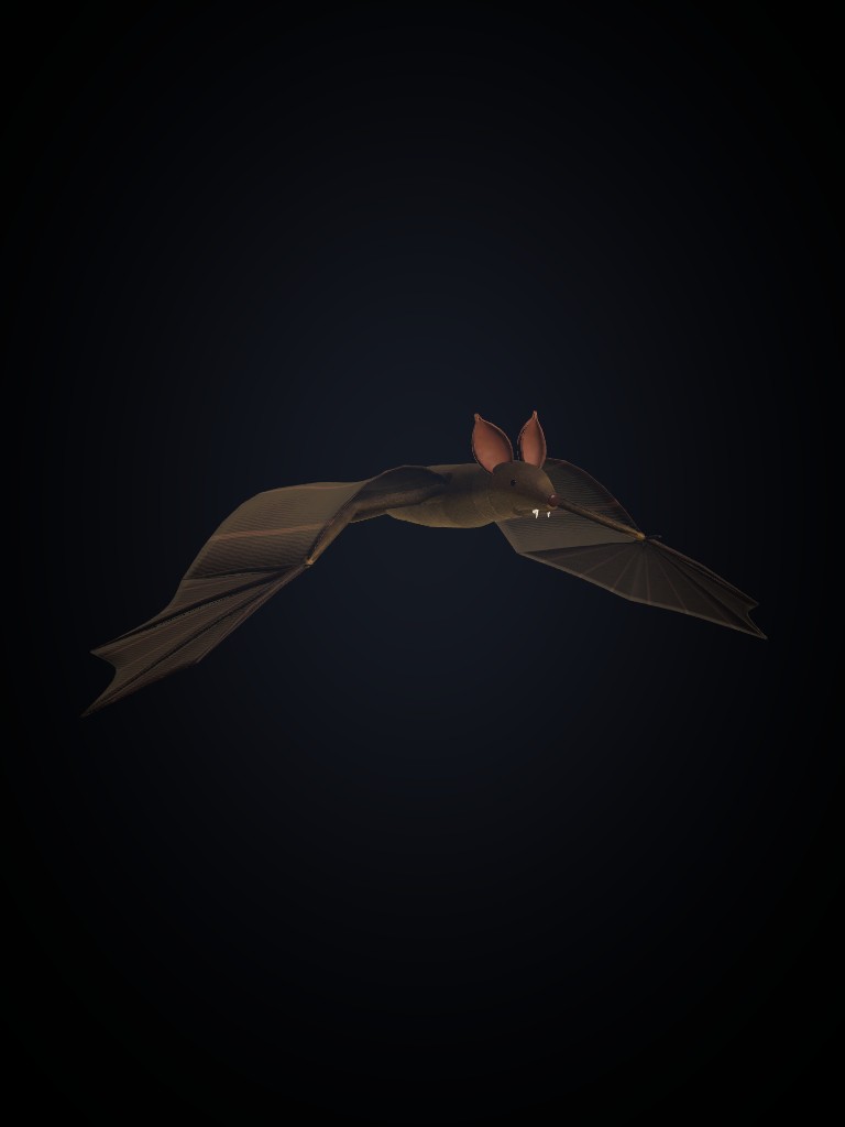 Bat